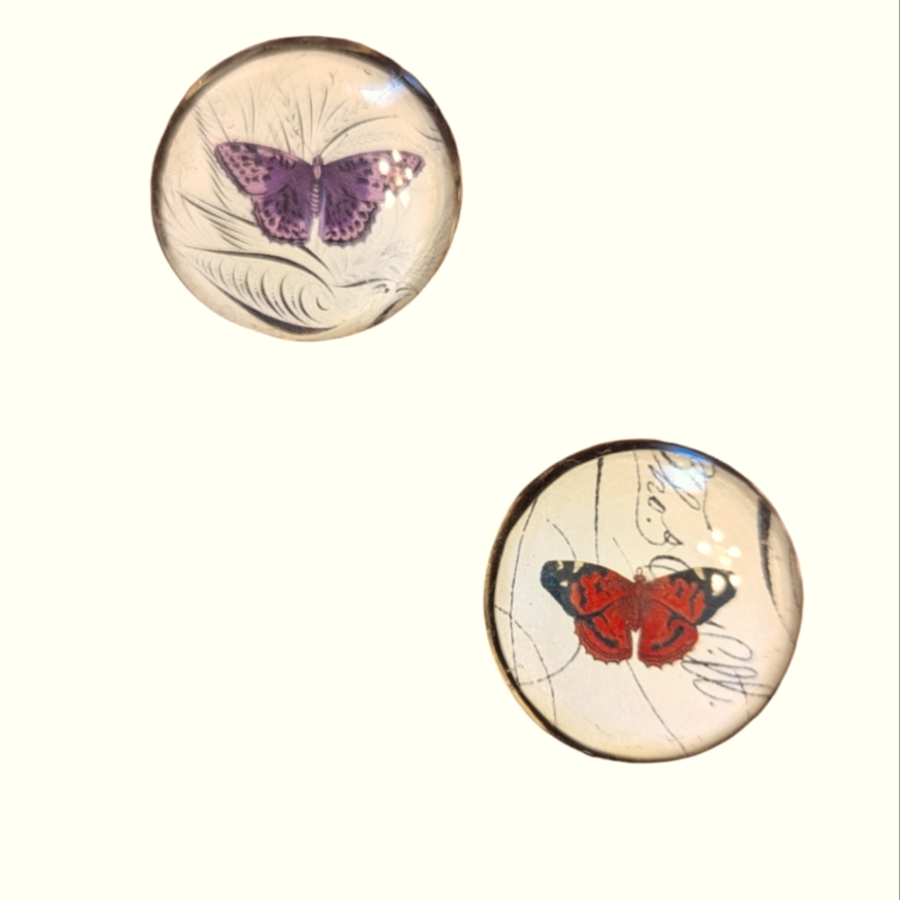 Set of 2 Butterfly Fridge Magnets